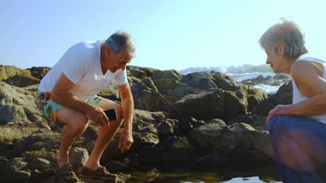 Hombre-Mayor-Sacando-Conchas-Marinas-Cerca-Del-Mar-4k