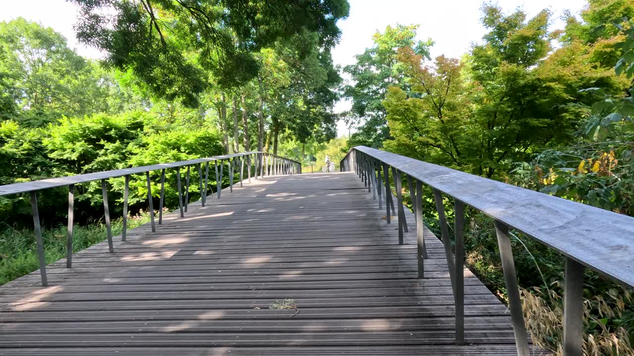 Smooth forward camera movement on sunlit wooden bridge surrounded by green trees and summer foliage