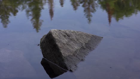 hermosa escena natural del lago, rocas e insectos en la superficie del agua