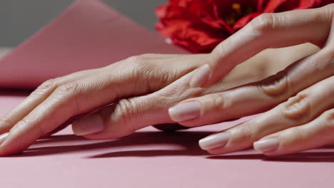 close-up of hands with manicured nails on pink background with flower