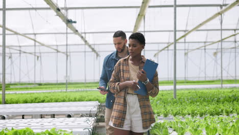 woman, man and inspection of plants in greenhouse