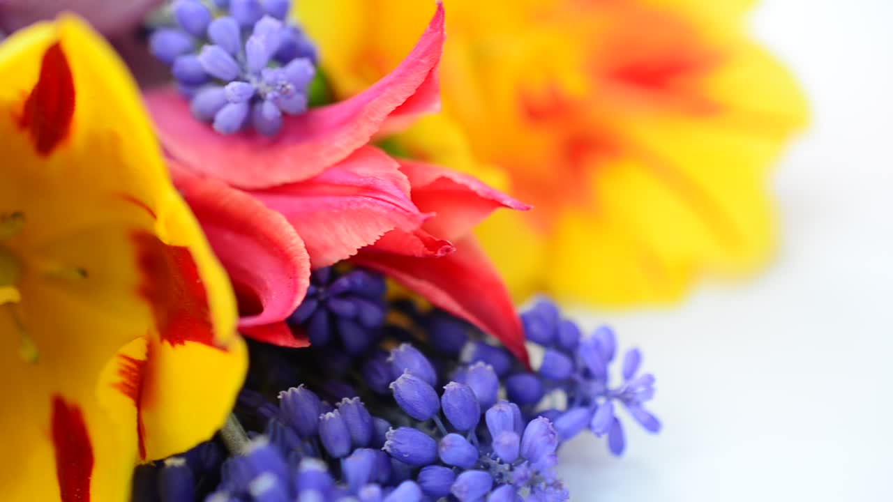 Aufnahme auf weißem Hintergrund. Frühlingsstrauß.