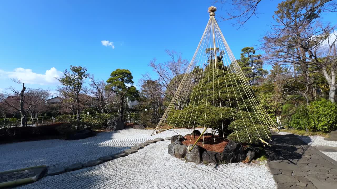Serene Japanese garden with a meticulously maintained tree tied with straw ropes