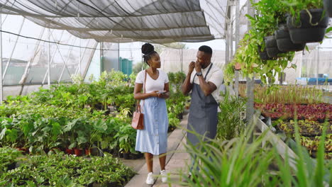 plant nursery, african american man and customer discussing greenery and choices, in greenhouse