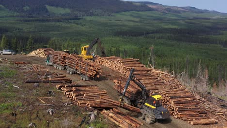 manipulación eficiente de la madera: vista aérea del transportista en el trabajo