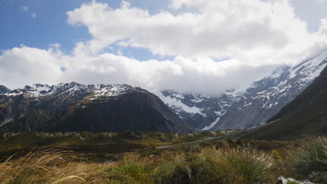 wind blowing the grass at mt cook national park