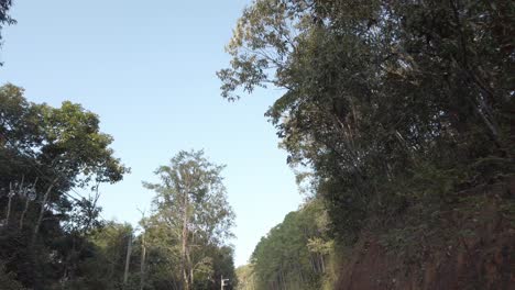 Ver-Mirando-Hacia-El-árbol-Mientras-Se-Mueve-Rápido-En-La-Moto-Bajo-El-Bosque-De-árboles-En-La-Zona-Montañosa-Local-Bajo-El-Cielo-Azul-Al-Atardecer