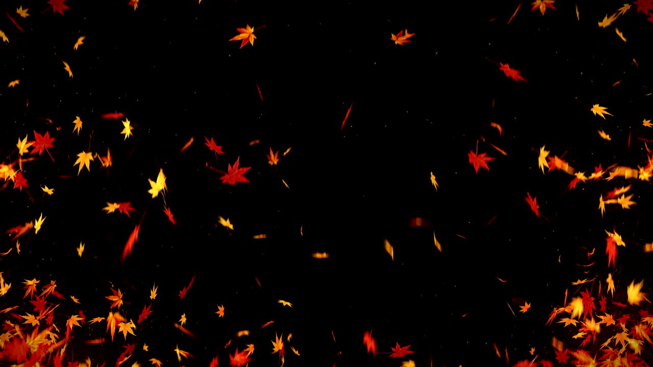 검은 바탕에 떨어지는 가을 잎, 메이플 잎, 루프 글리터 애니메이션