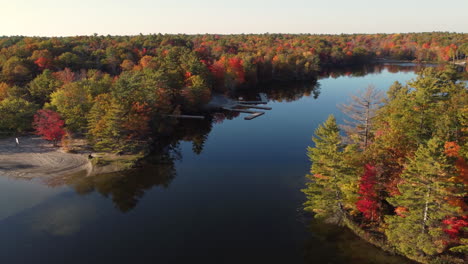 aerial view orbiting tranquil woodland colourful seasonal autumn treetop foliage