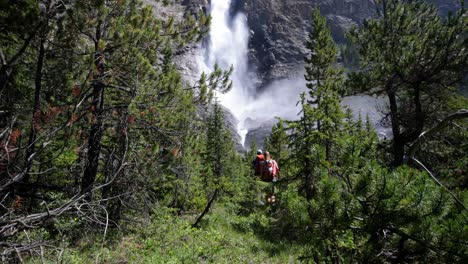 vista trasera de una joven pareja de excursionistas caucásicos con mochila caminando en un denso bosque en un día soleado 4k