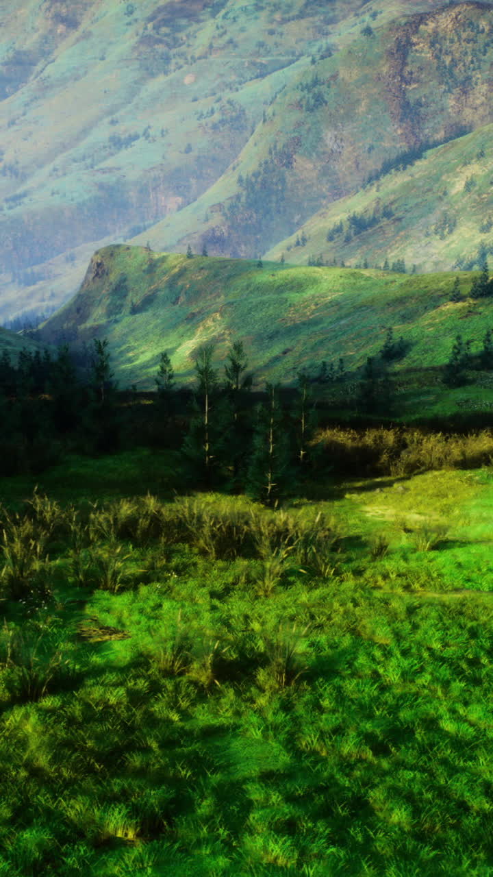 Lush green hillside with gentle slopes and distant mountains in daylight