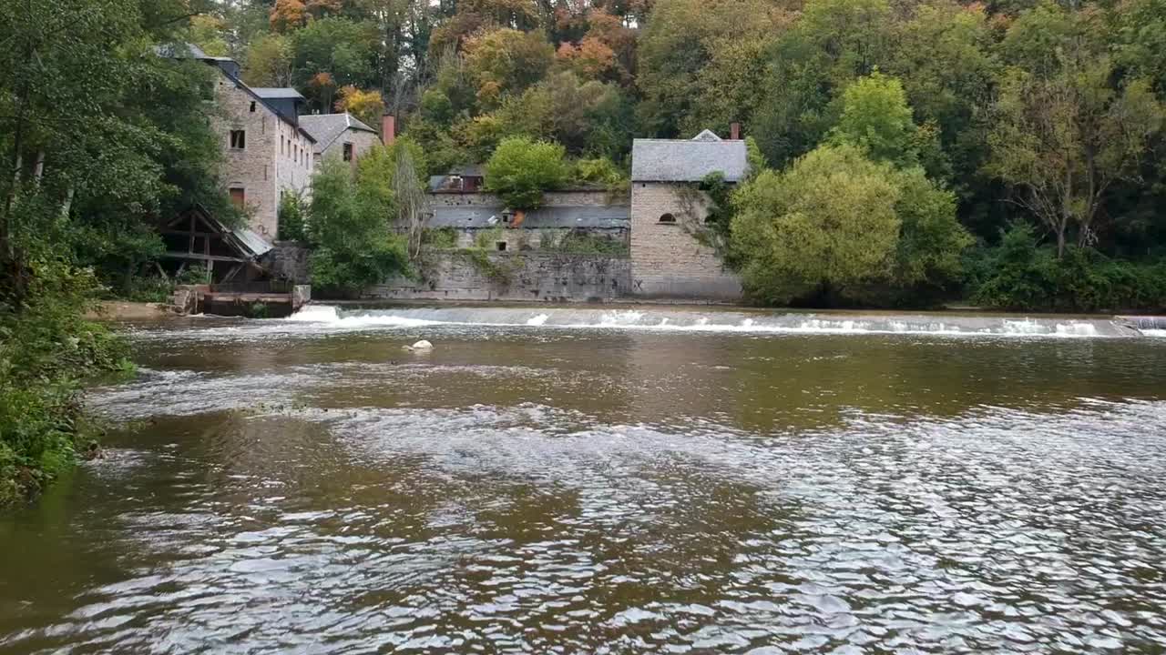 volando sobre el agua de un foso hacia un antiguo castillo al comienzo del otoño con las hojas volviéndose rojas