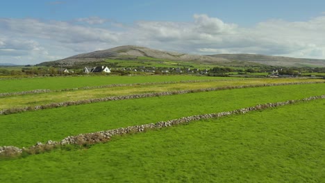 irish rural landscape, view from aughinish looking south towards east burren, clare ireland, august 2020, drone gradually pushes forward flying over cattle in green fields with stone walls