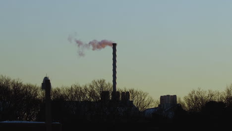 steam billowing from tall exhaust stack after sunset, with a seagull flying by, during mid-winter, near saco, maine. wide shot. slow motion.