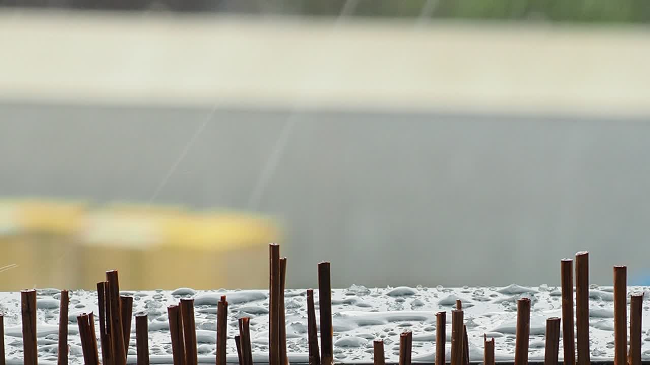 도시에서 비가 오는 날