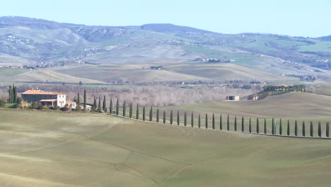 Eine-Weite-Aufnahme-Einer-Landwirtschaftsvilla-Mit-Langen-Baumreihen-In-Der-Toskana-Italien-1