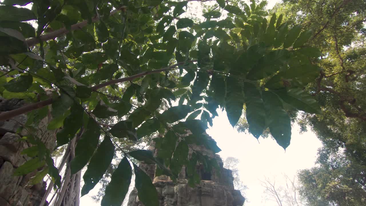 Cambodia Angkor Wat carvings, temple complex ruins,  framed by trees. Tilt down shot