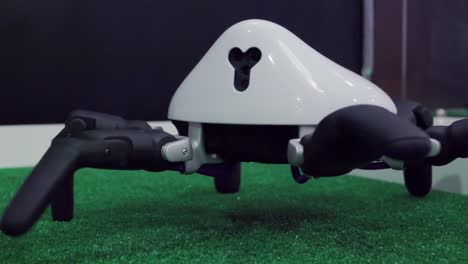 small white hexapod robot