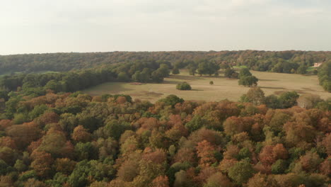 aerial shot over woodland and grassland of an english park