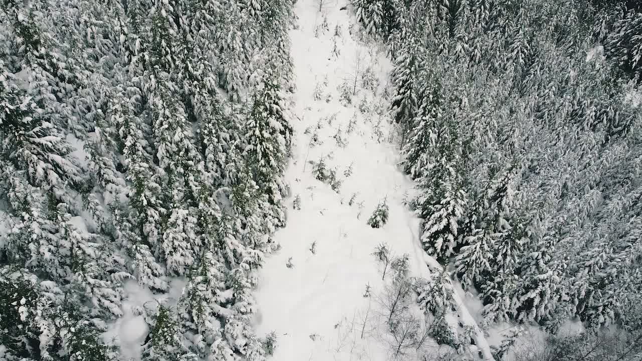 antena de un camino nevado en la isla de vancouver, canadá