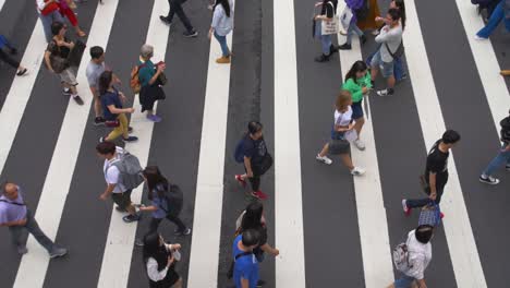 View-of-Pedestrian-Crossing-Taiwan