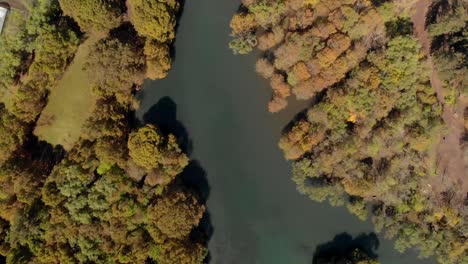 aerial view of a lake surrounded by autumn trees