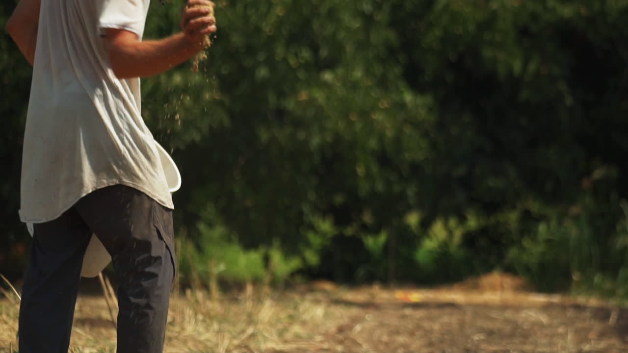 낮에 오이를 파종하는 농부의 손에서 작은 씨앗이 날아오는 모습