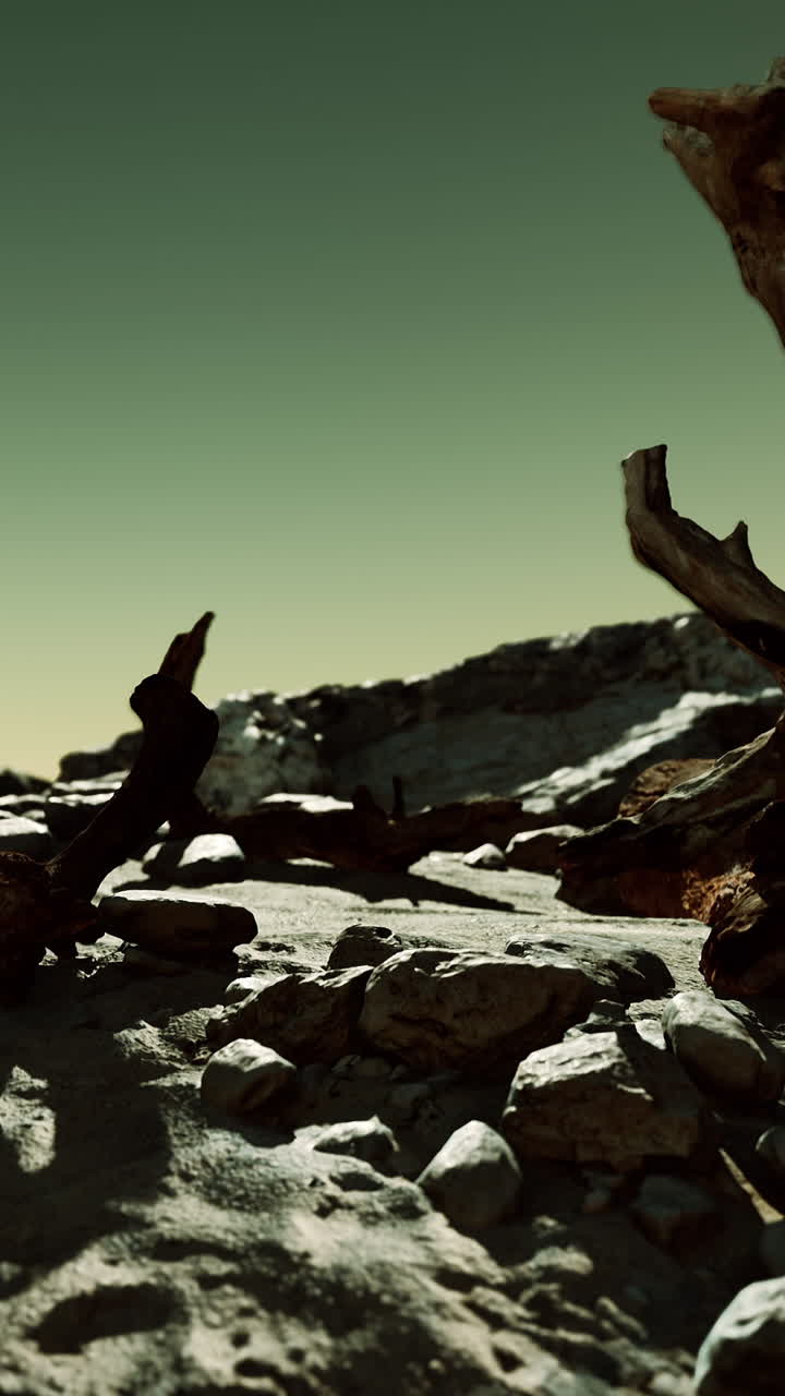 paisaje desolado del desierto con madera a la deriva