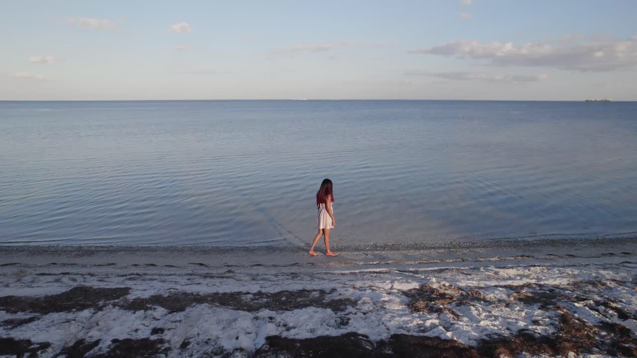 A girl walking by the shore, framed by the iconic Sunshine Skyway Bridge in St. Petersburg, Florida.
