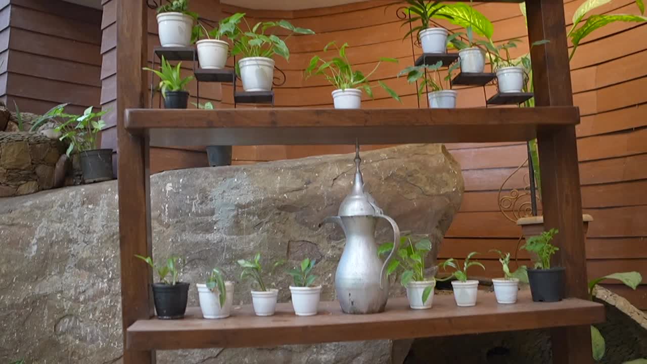 jardinería vertical plan de bambú de pie en tomas de primer plano