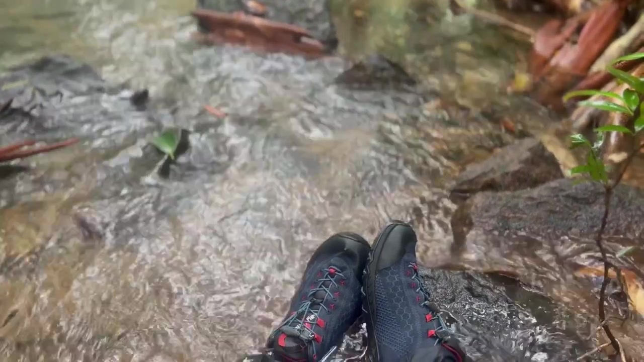 Shoes sitting in shallow water of a gentle jungle stream.
