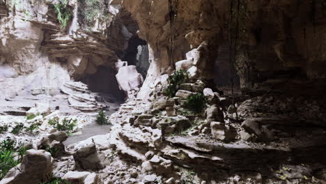 exploring a mysterious cave with rocks and greenery in a secluded location