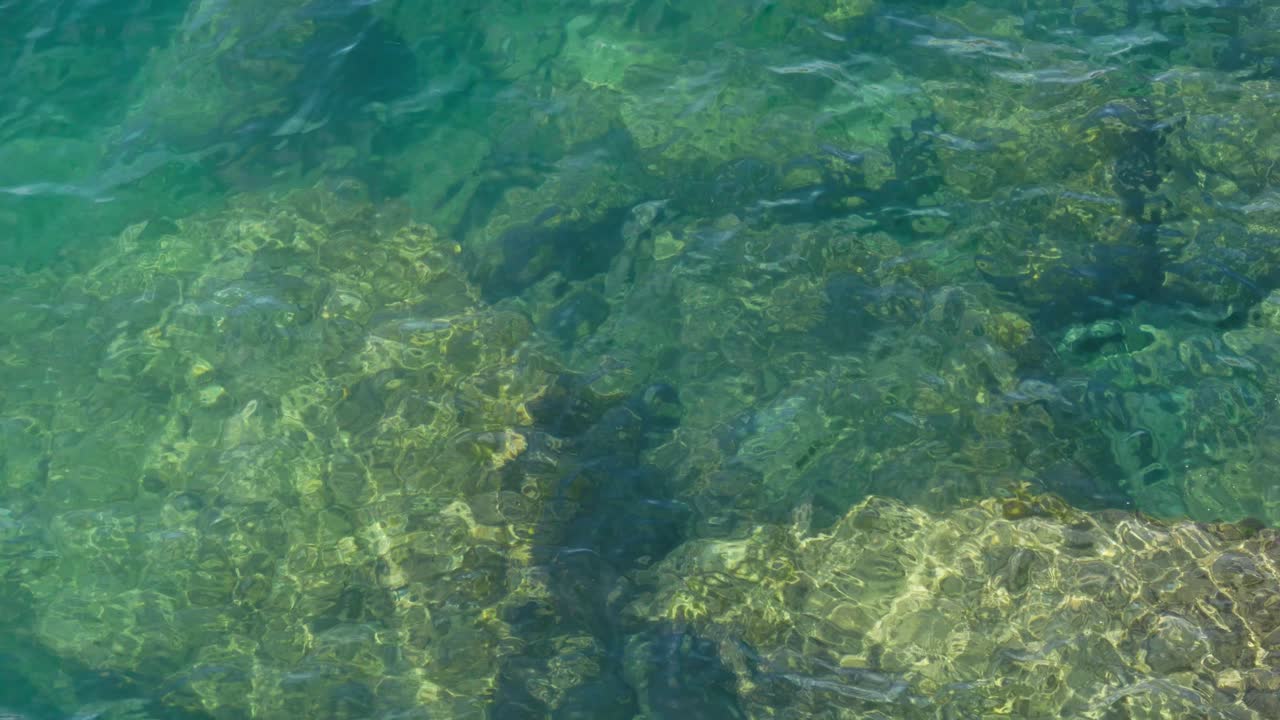 Acqua oceanica turchese limpida con pesci che nuotano sopra le rocce