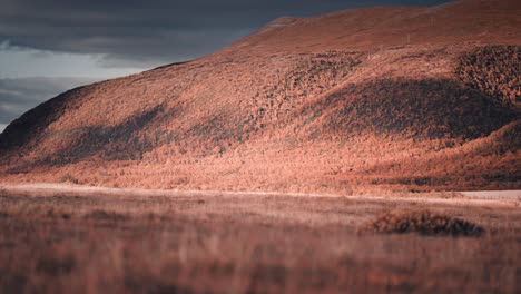 Raue-Nordische-Landschaft