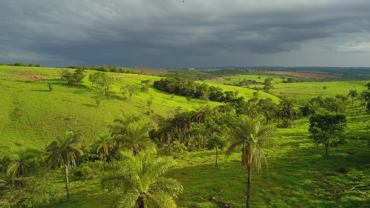 Aerial shot of hills and palm trees in Brazil, overcast day with a moment of sunshine and vibrant green grass as flying over rainforest