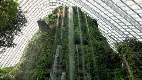 Cloud-Forestdome-Gran-Invernadero-De-Cristal-Que-Alberga-Varias-Especies-De-Plantas-Y-Una-Montaña-Con-Cascada-En-Singapur.