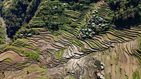 Imágenes-De-Drones-De-Las-Famosas-Terrazas-De-Arroz-Batad-Con-Casas-En-El-Norte-De-Filipinas