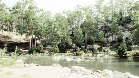 a serene river flowing through a lush green forest