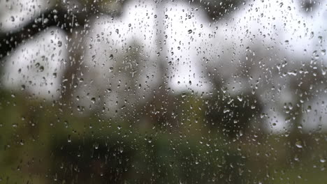 mujer que limpia el cristal de la ventana durante un día gris y lluvioso
