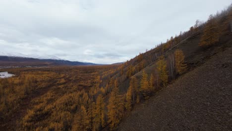 this captivating drone journey captures the rich hues of autumn foliage in a remote wilderness setting, revealing expansive valleys and scenic mountain views at dusk