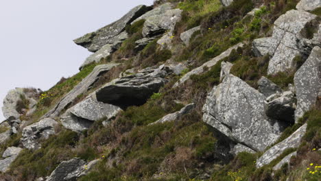 Paisaje-Escénico-De-Textura-Verde-Rocosa-En-Dingle,-Irlanda,-Desierto-Irlandés,-Día