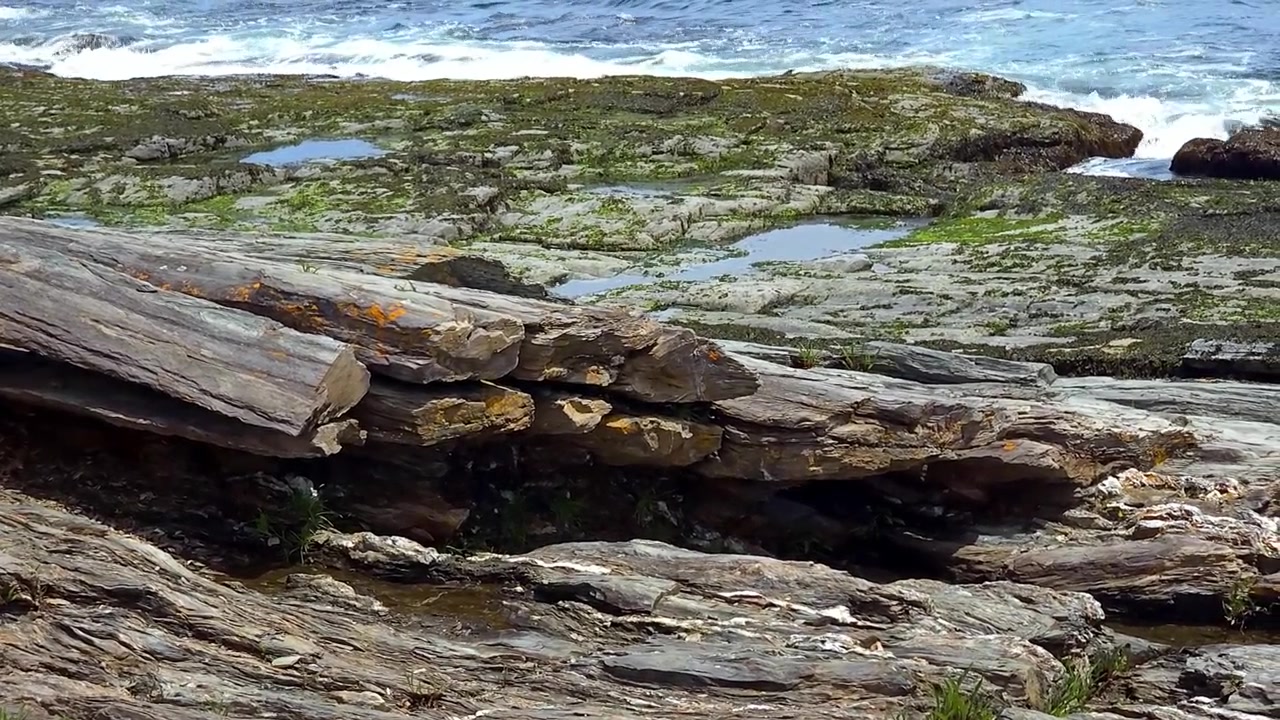 Mærkelige klippeformationer ved havet i Two Light State Park.
