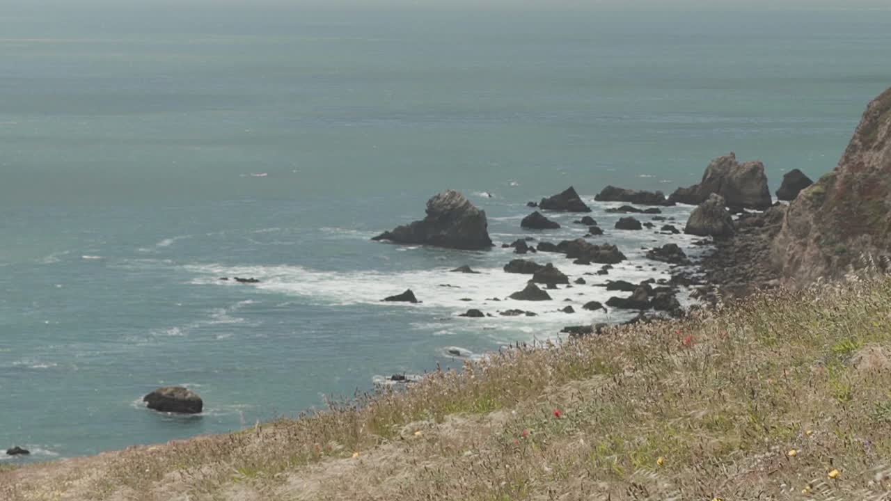 широкоугольный снимок склона холма, поросшего травой и полевыми цветами, колышущимися на ветру