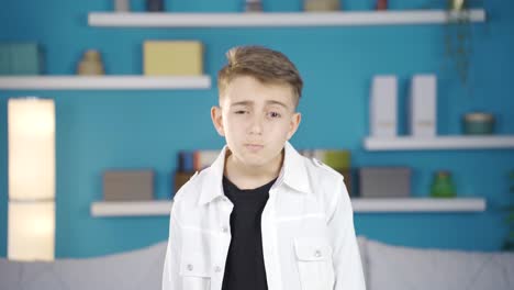 un niño alegre y feliz se ríe mirando a la cámara.