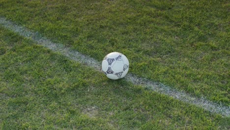 Nahaufnahme-Eines-Fußballspielers,-Der-Auf-Einem-Professionellen-Spielfeld-Den-Ball-Kickt