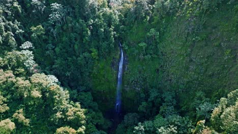 Toma-Frontal-De-Una-Cascada-épica-Que-Cae-En-La-Jungla-En-La-Región-De-Salto-Del-Rodeo-De-Bonao,-República-Dominicana.