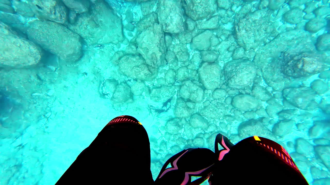 ныряние в кристально чистых морских водах с плавательными плавниками