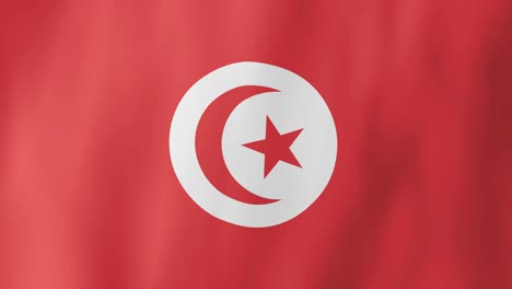 realistic tunisia flag waving in the wind. 4k animation.