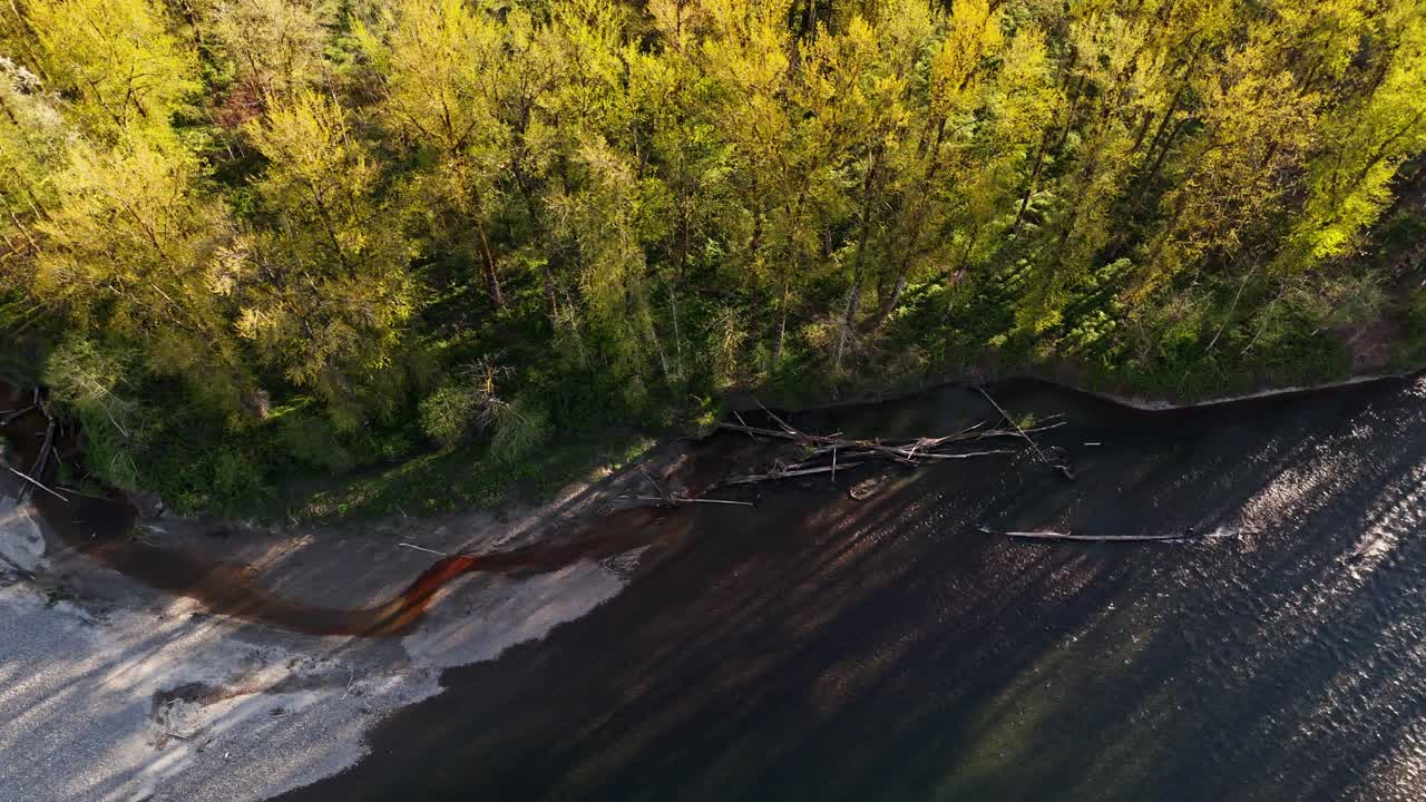 hermosa vista de pájaro de la línea de árboles en snoqualmie middle fork river en el estado de washington, north bend