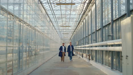 agronomist team walking discuss agribusiness production in farm lab greenhouse.